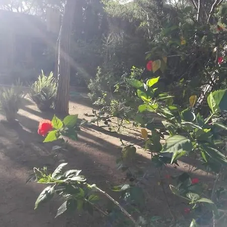 A Schiera Calaverde Apartment *